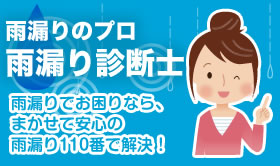 雨漏りのプロ　雨漏り診断士