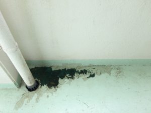 14331C55-C73F-4E25-BD0C-573448AF6020